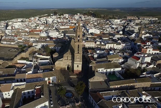 Vista aerea Paseo Viejo